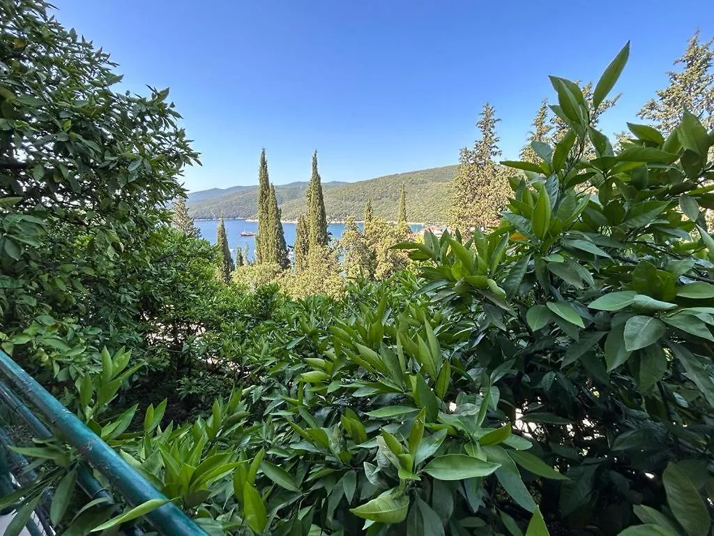 Apartment Near The Sea 650 Rabac 0*,  Chorvatsko